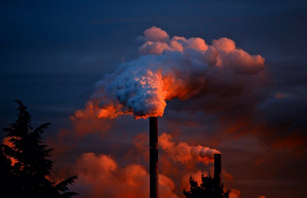 Tipos de poluição: Quais são os principais e o que fazer para combatê-los?